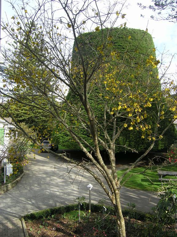 Bucket Tree Lodge Tawa Exterior photo