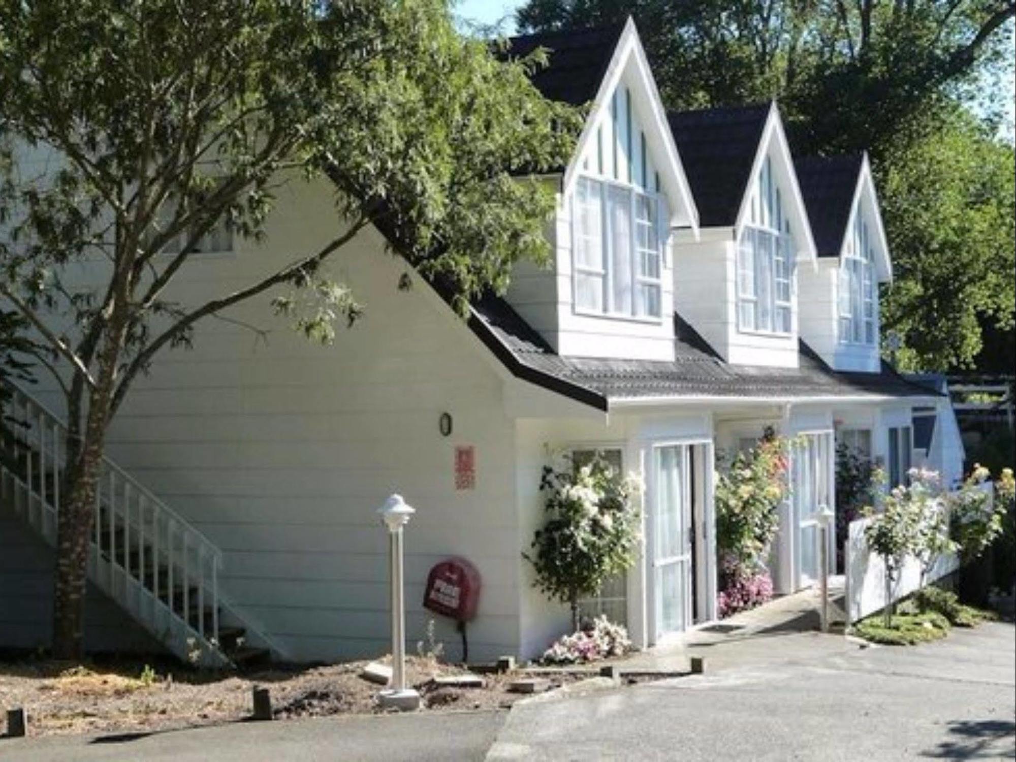Bucket Tree Lodge Tawa Exterior photo